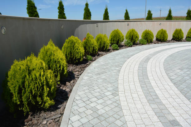 Best Local Driveway Pavers  in Kachina Village, AZ